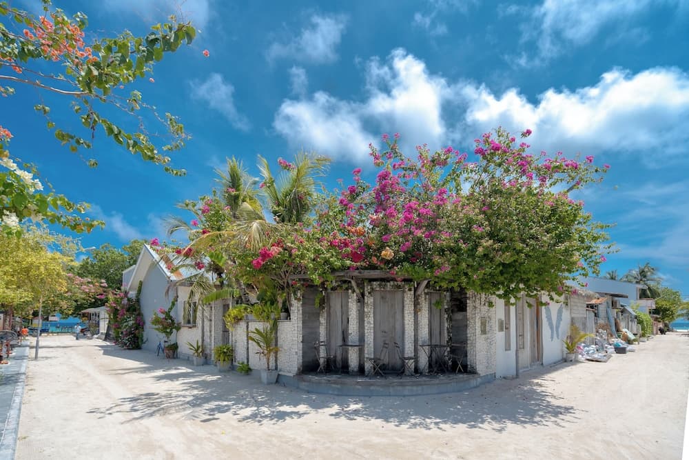 Brickwood Shoreline - View 10