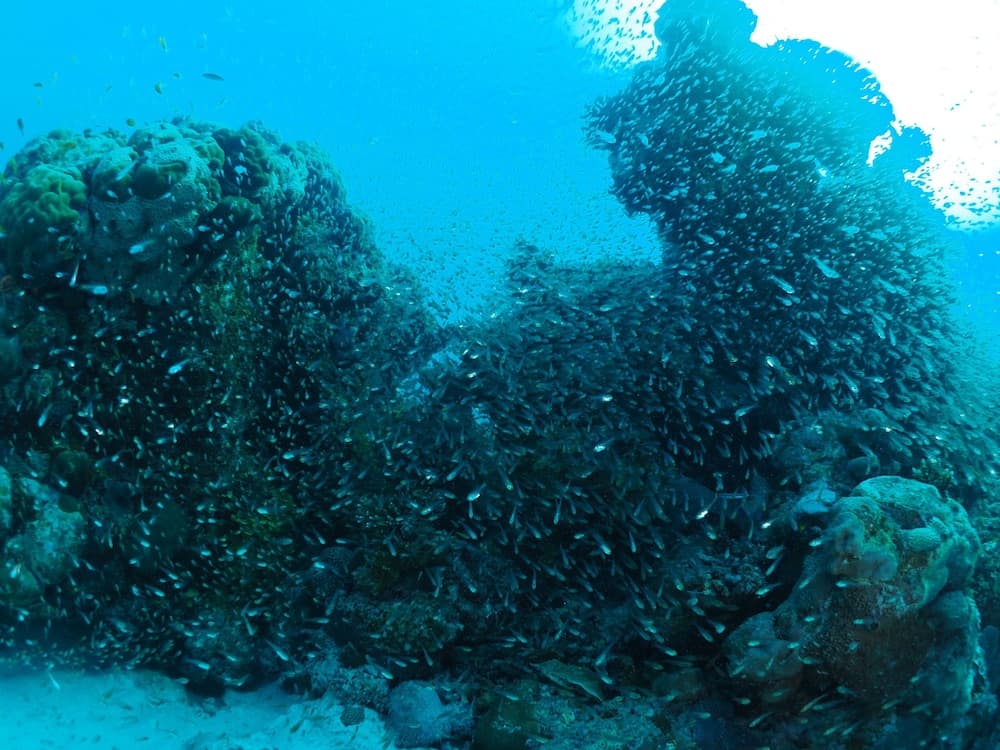 Adroit Beach Inn - View 144