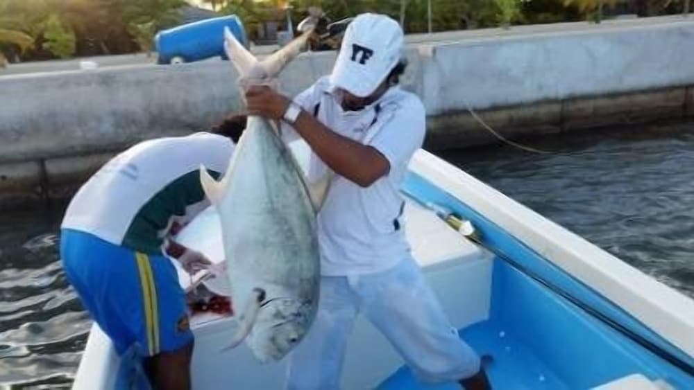 Plus View Maldives - View 18