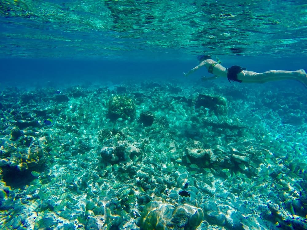 Ithaa Inn Kamadhoo - View 35