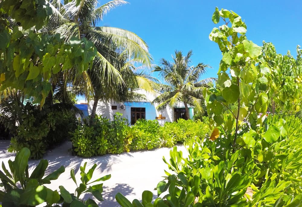 Ithaa Beach Maldives - View 57