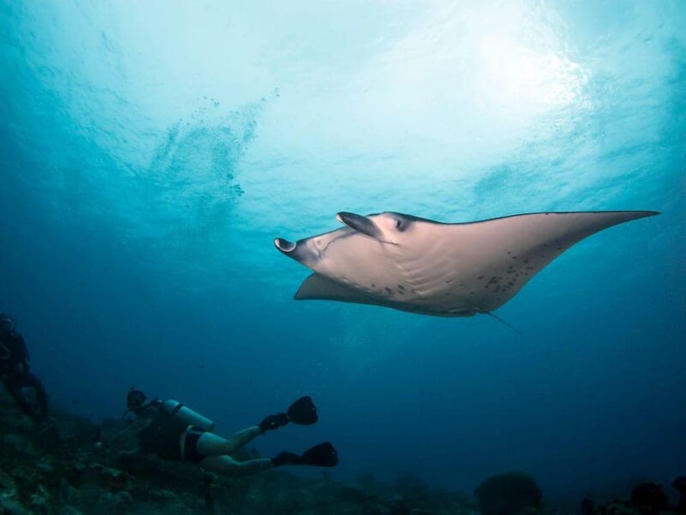 Lagoon Lodge - View 14