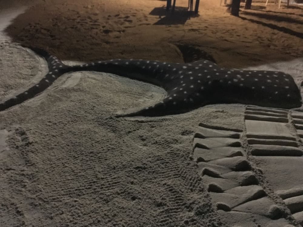 Hudhu Raakani Lodge - View 32