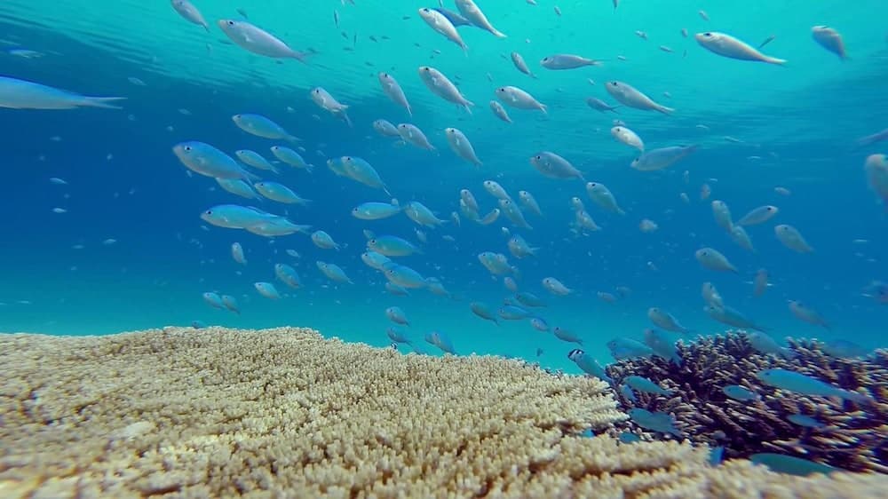 Island Vista Inn - View 24