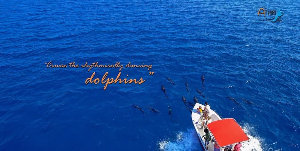 Athiri Inn - View 29