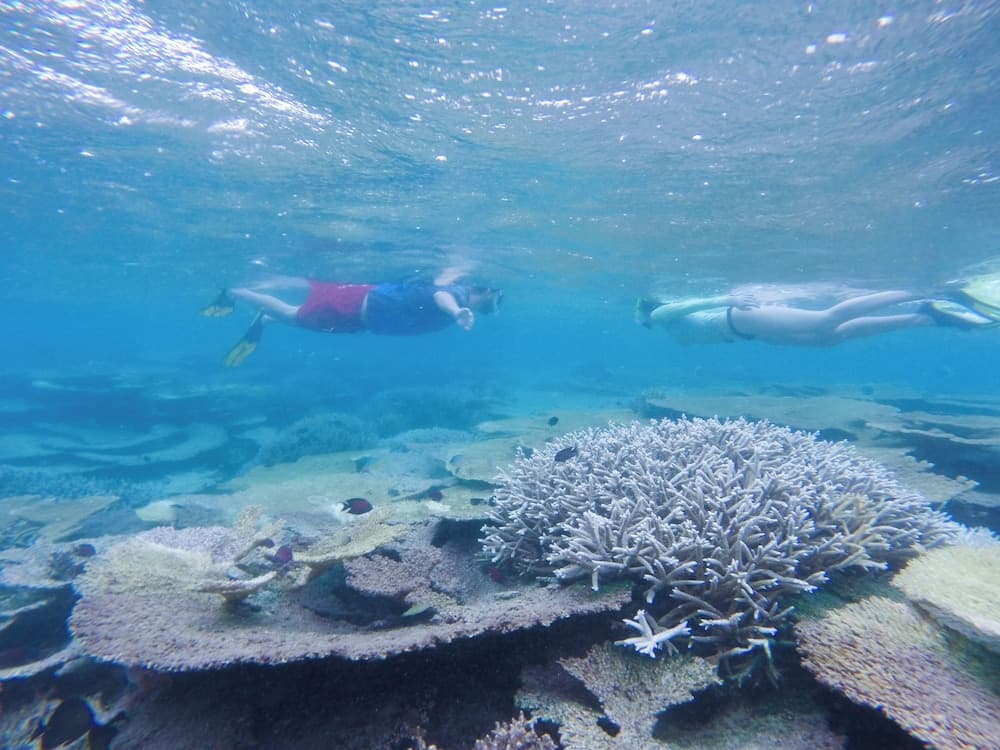 Ganduvaru Villa - View 101