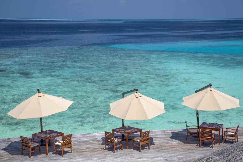 Coco Bodu Hithi - View 116