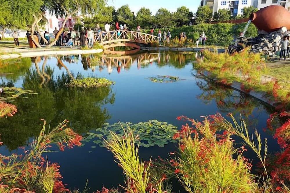 Dreams Grand - View 72