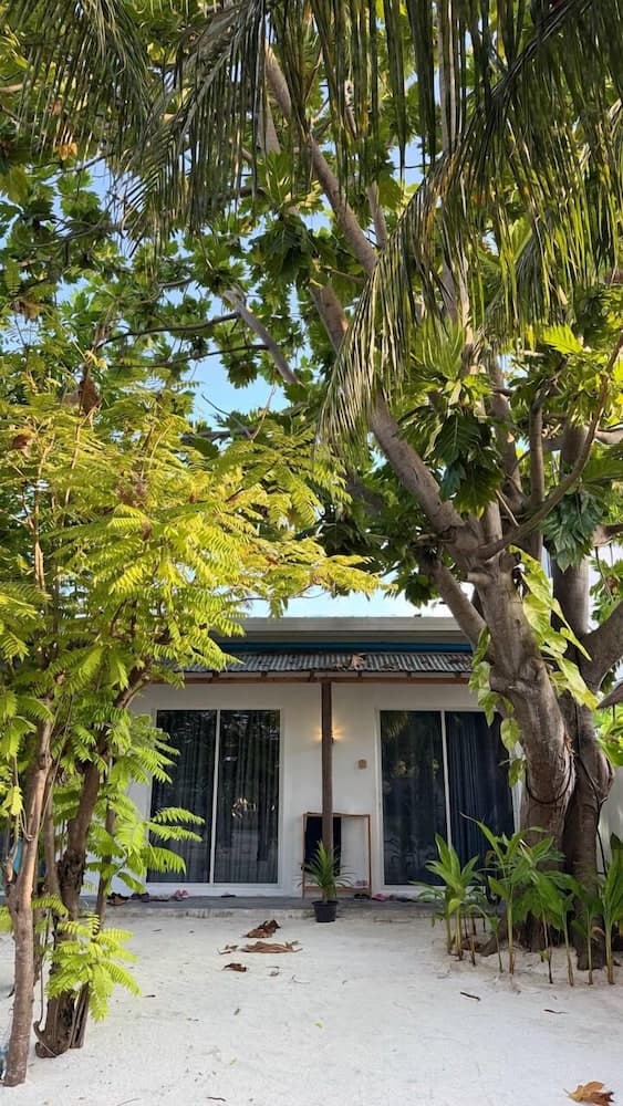Navaya Dhiffushi - View 24
