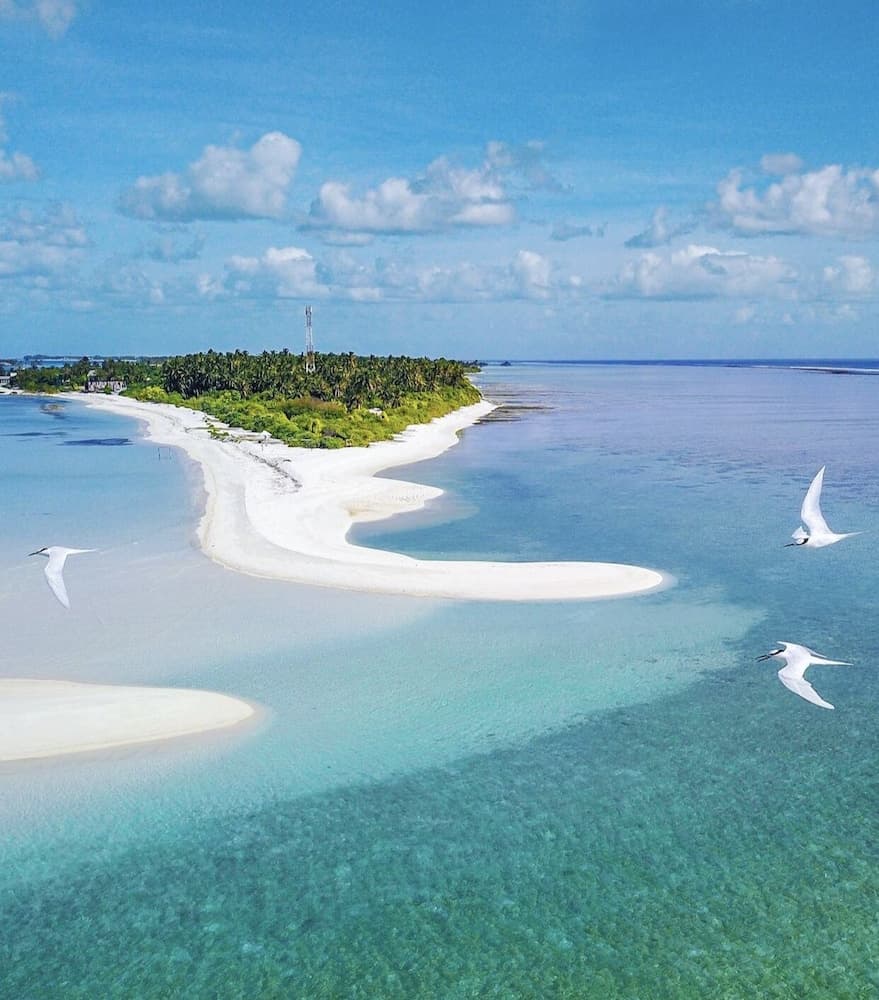 Oasis Village Fenfushi - View 16