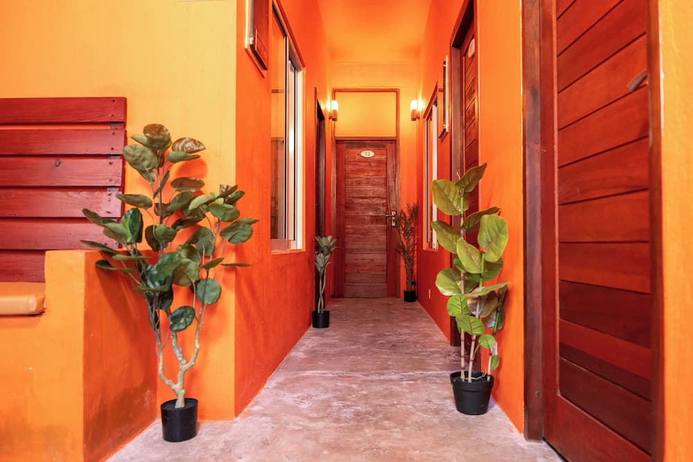 SEASUNBEACH MAAFUSHI - View 24