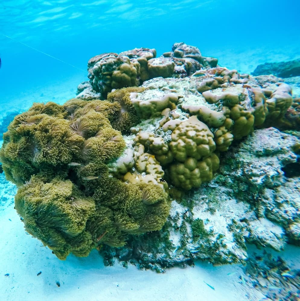 Hide Inn Blue - View 51