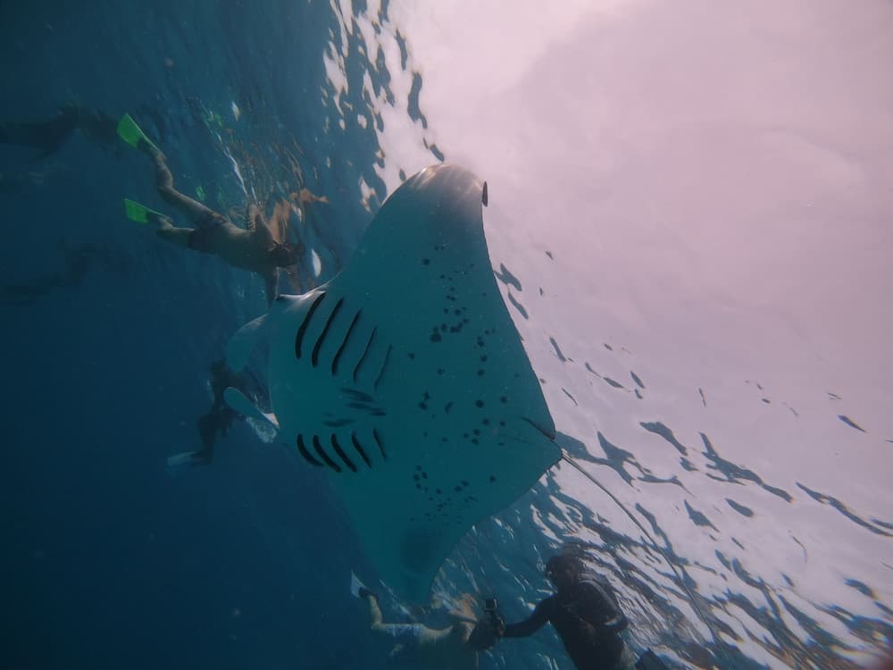 Select Village Maafushi - View 41