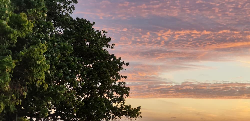 ilaa Beach Maldives - View 59