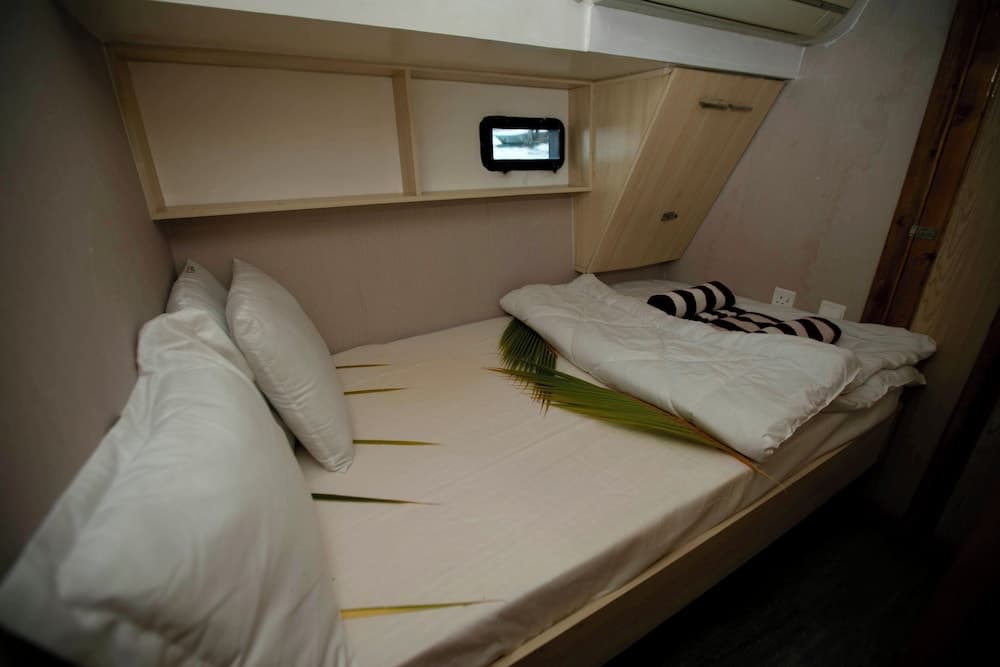 Odyssey of sunny side - View 1