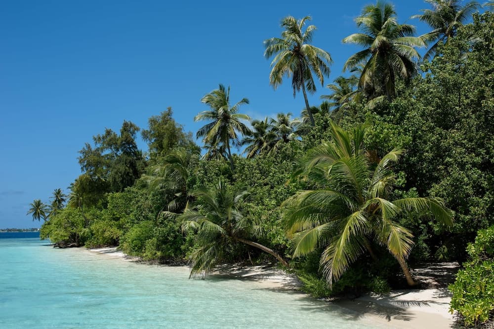 Biyadhoo Island Resort - View 79