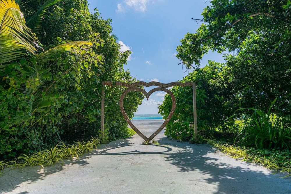 Madifushi Private Island - View 56