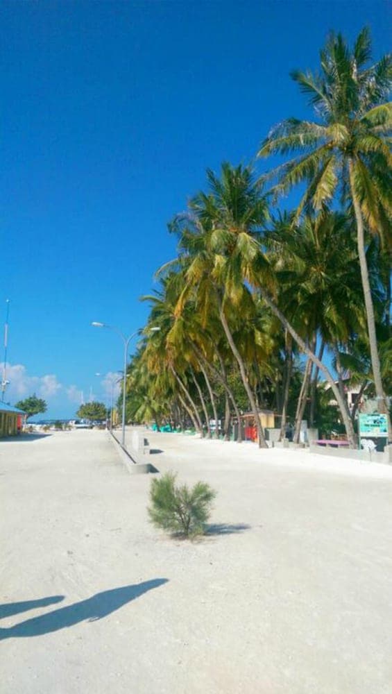 Alaika Maafushi - View 30