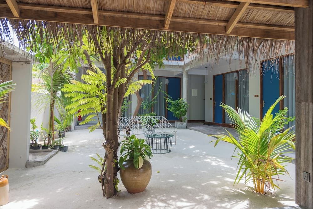 The Palm Ray - View 2