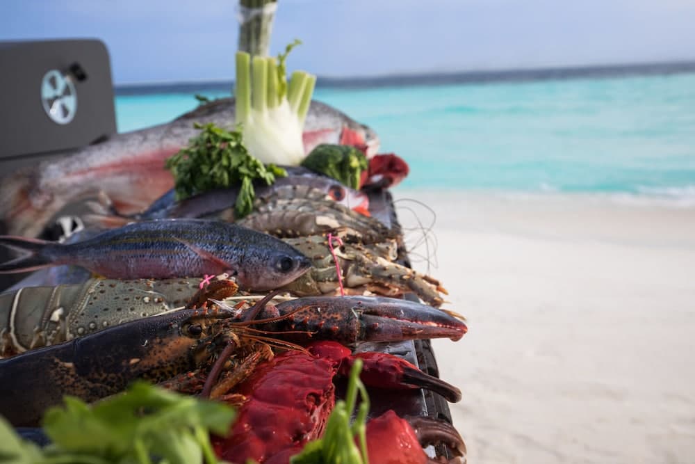 Taj Coral Reef Resort & Spa Maldives – A Premium All Inclusive Resort - View 89