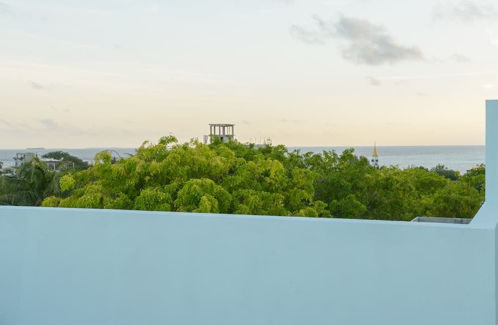 Green Flora - View 52