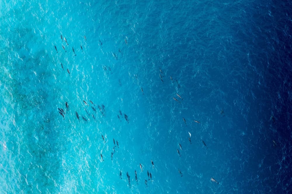 Radisson Blu Resort Maldives - View 210