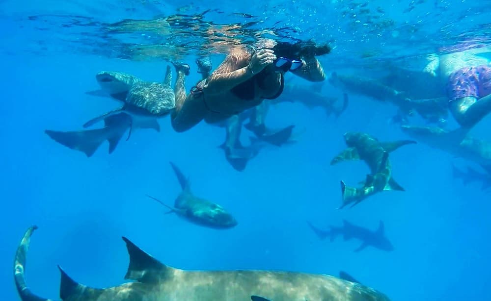 Adroit Beach Inn - View 56