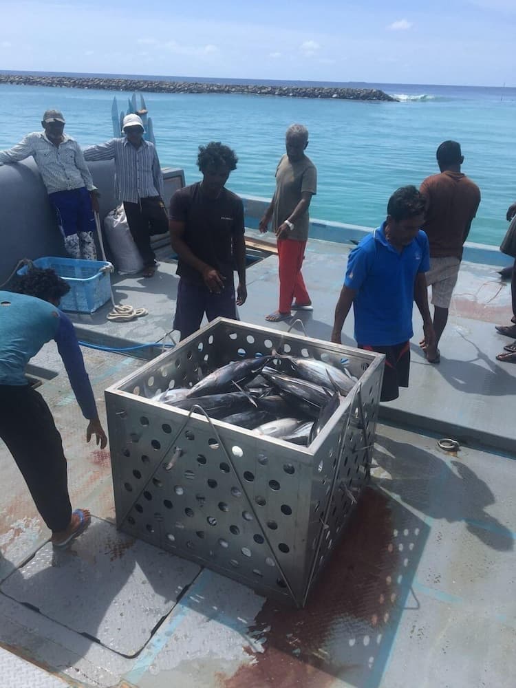 Equator HomeStay - View 37