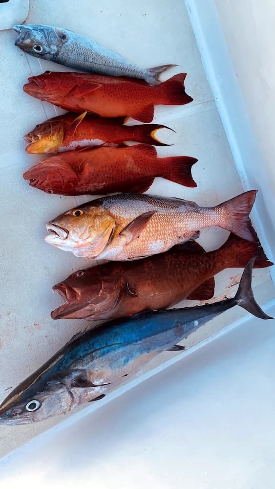 Yacht Fascination Maldives - View 22