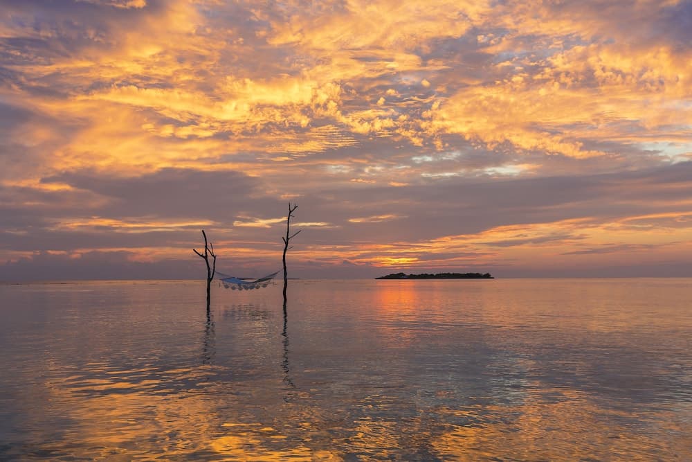 Sun Siyam Vilu Reef - All Inclusive - View 73