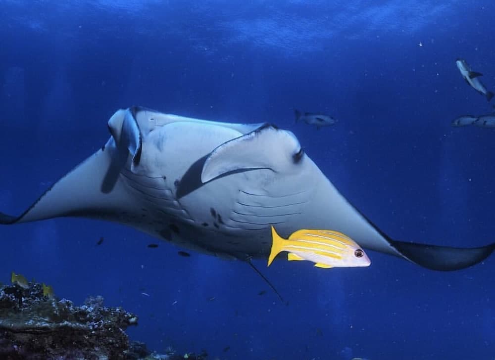 Charming Holiday Lodge - View 23