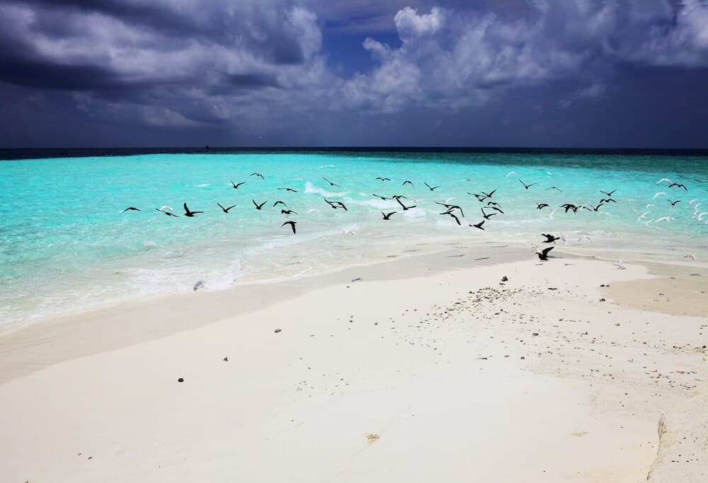 Ocean Villa with pool & spa - View 20