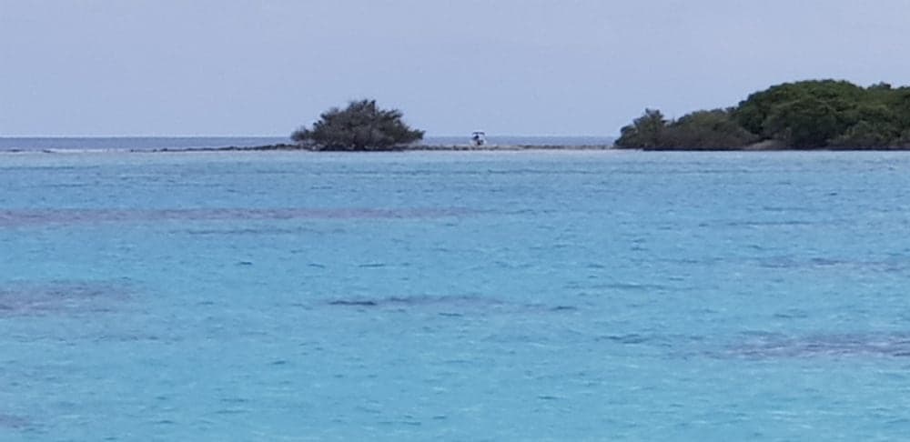 Equa Reef Maldives - View 14