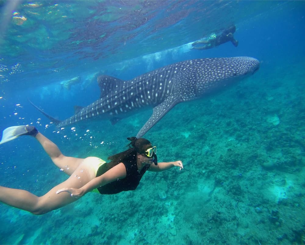 Select Village Maafushi - View 58