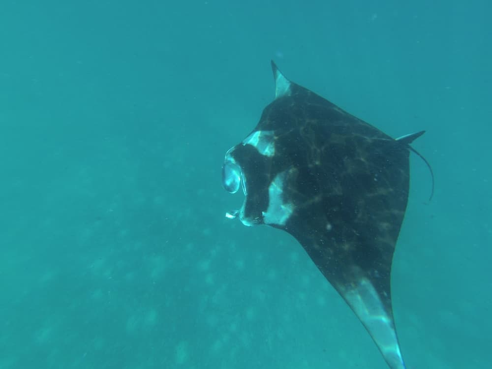 Mathiveri Lodge - View 39