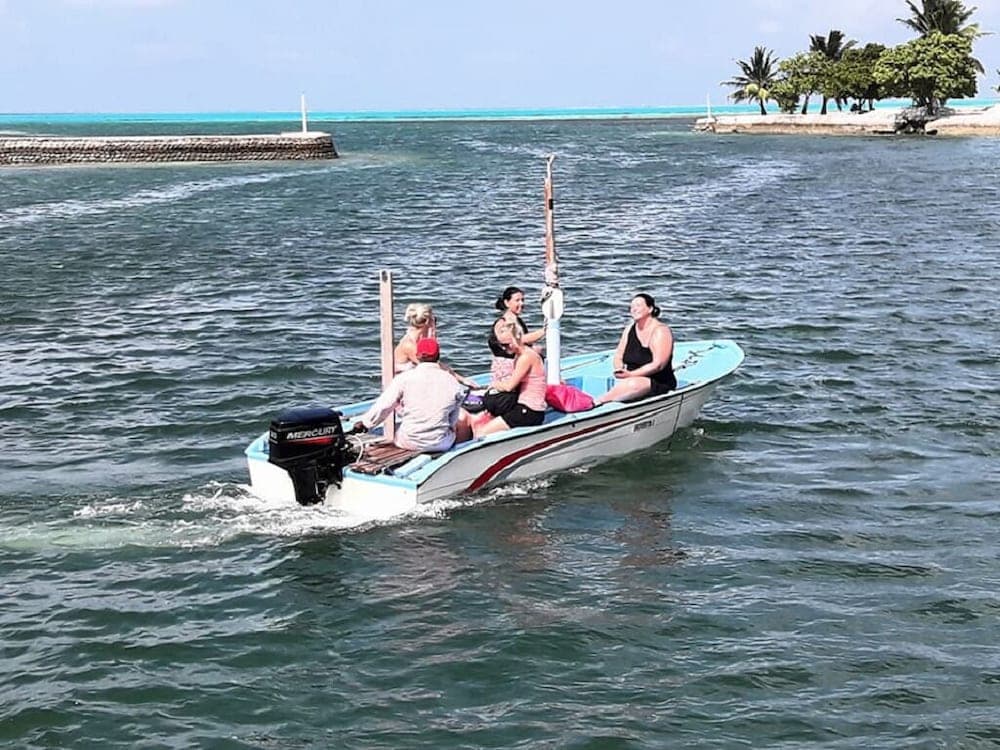 Charming Holiday Lodge - View 19