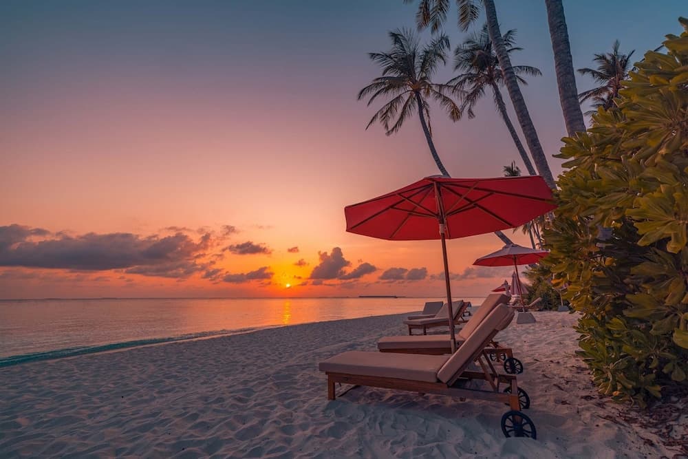 Siyam World Maldives - 24-Hour Premium All-inclusive with Free Transfer - View 46