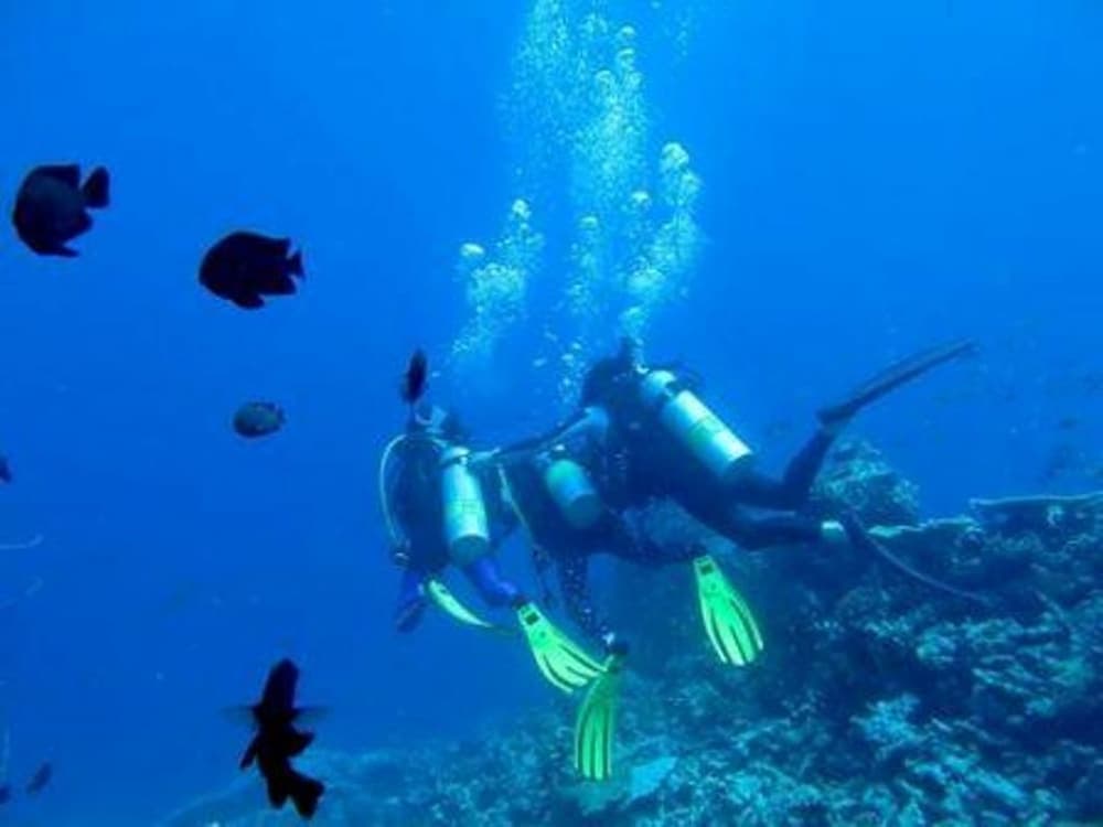 Plus View Maldives - View 15