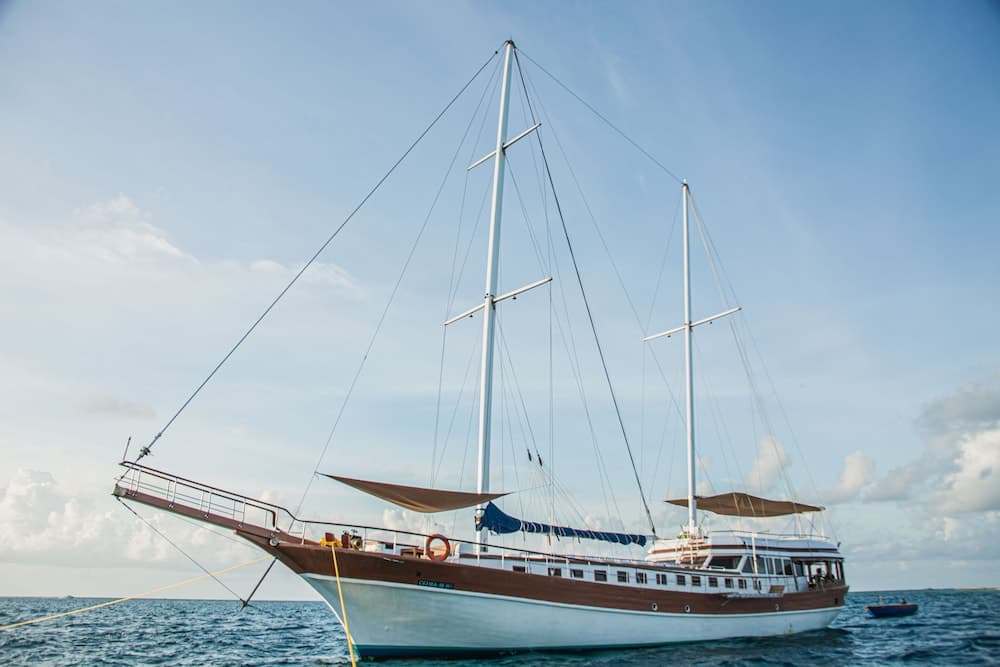Akoya Pearl - View 3