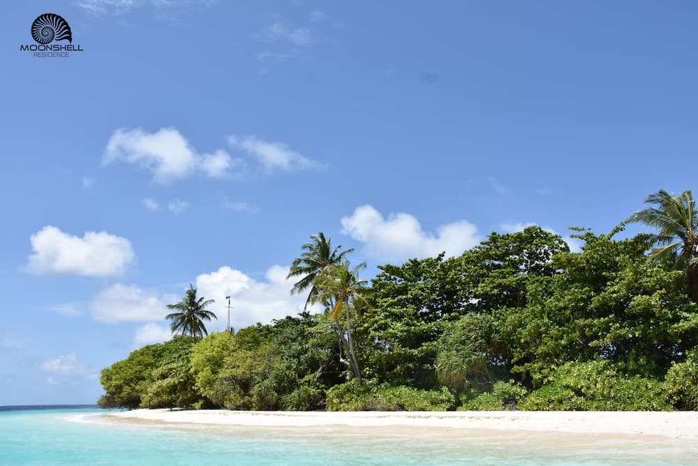 Moonshell Residence - View 17