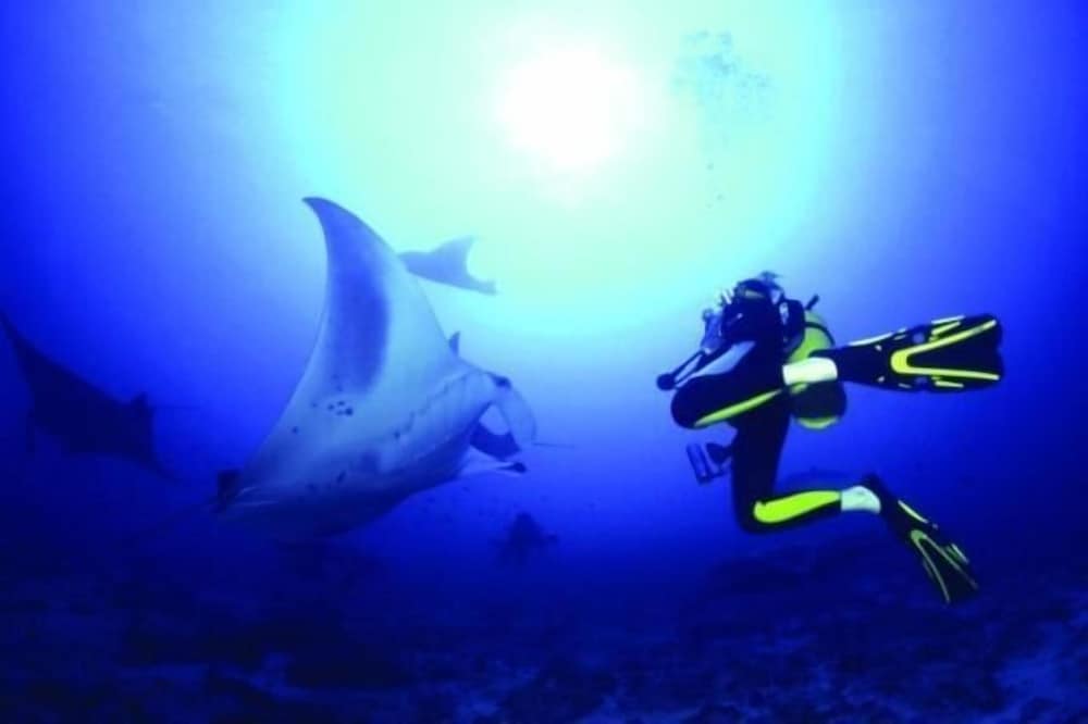 Hotel Elite Inn - View 27