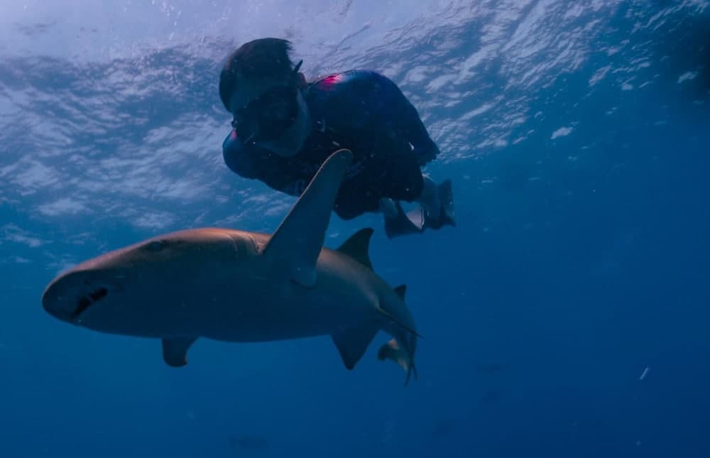 White Sand Dhigurah - View 3