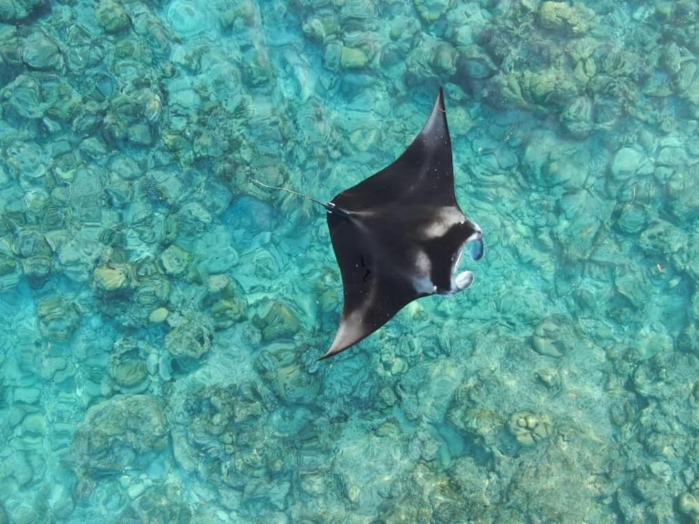 HI HEAVEN MALDIVES - View 16