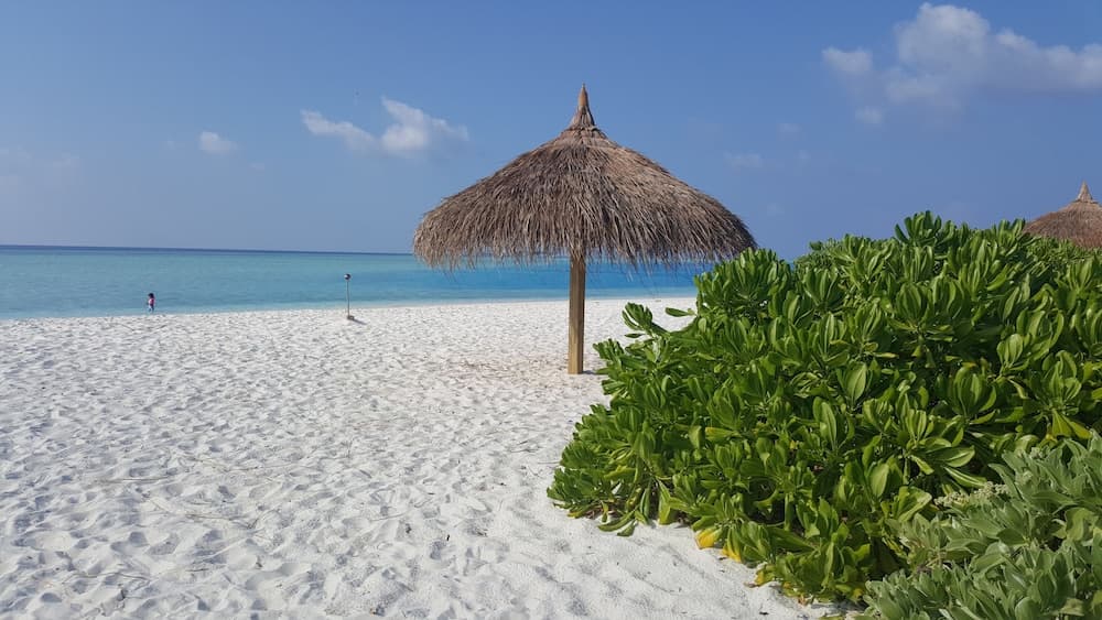 Banana Residence - View 3