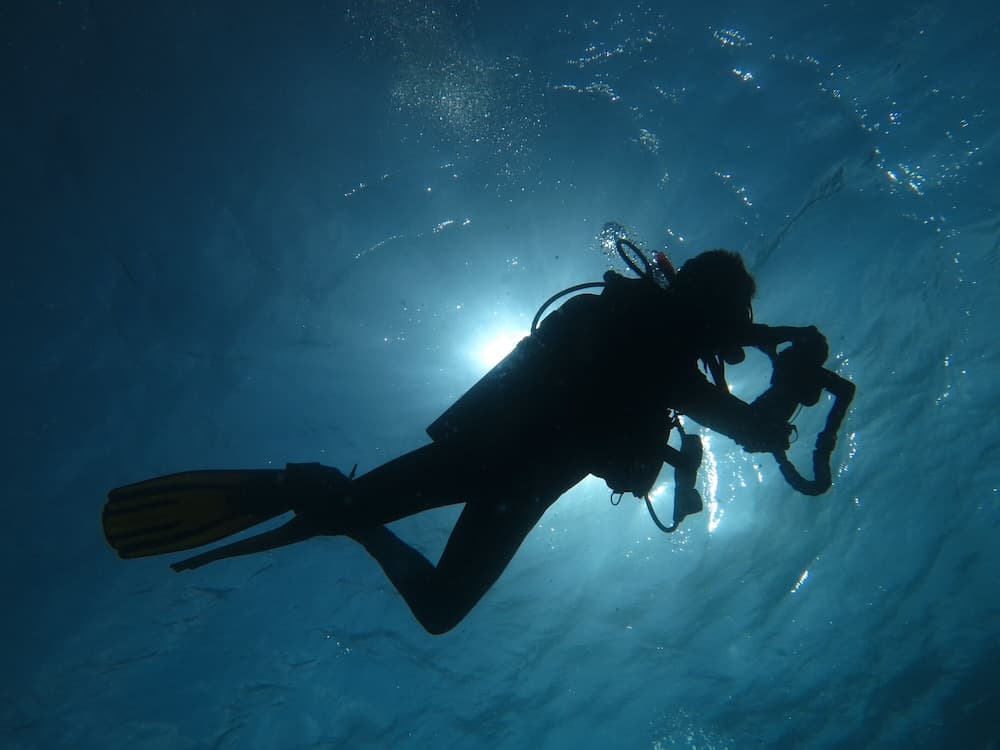 South Ari Dive Center - View 4