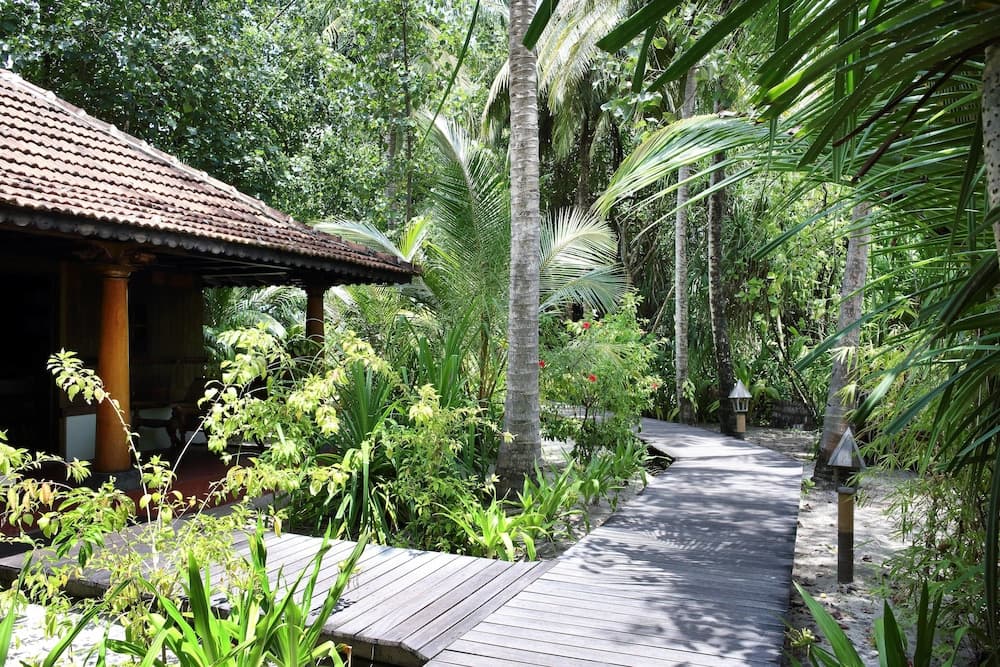 Gangehi Island Resort - View 16