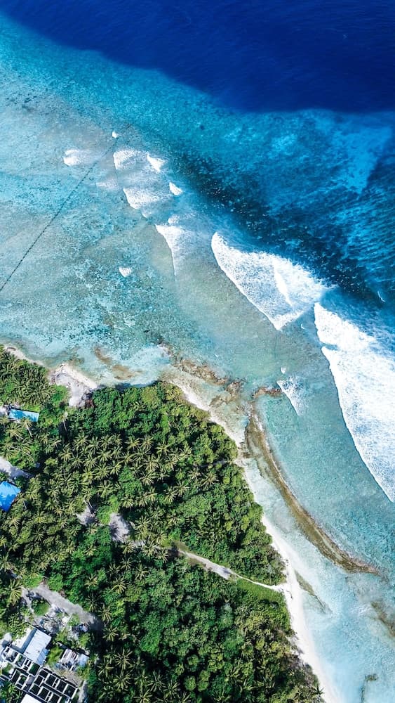 Hide Inn Blue - View 10