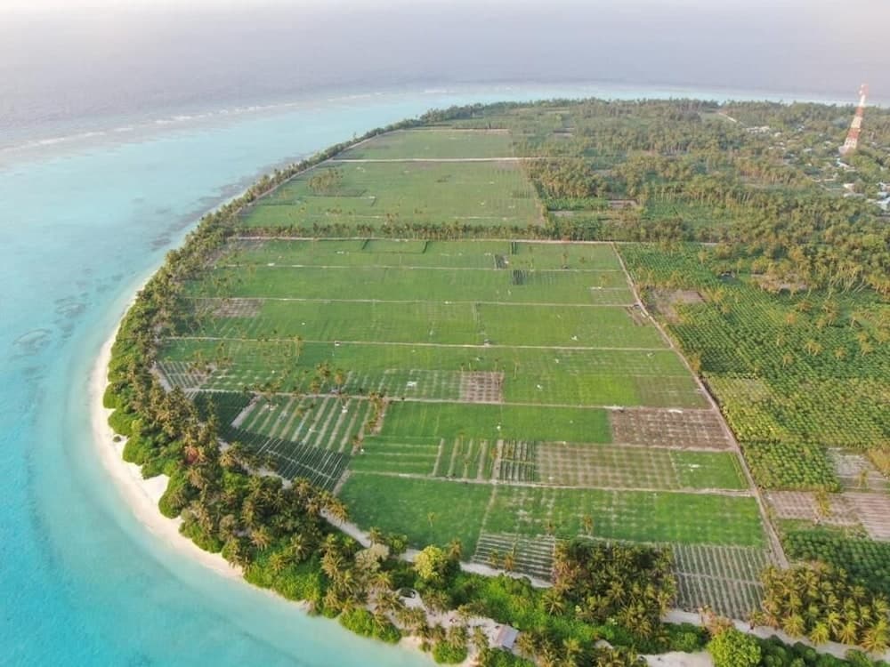 Thila Farm View Guest House - View 32