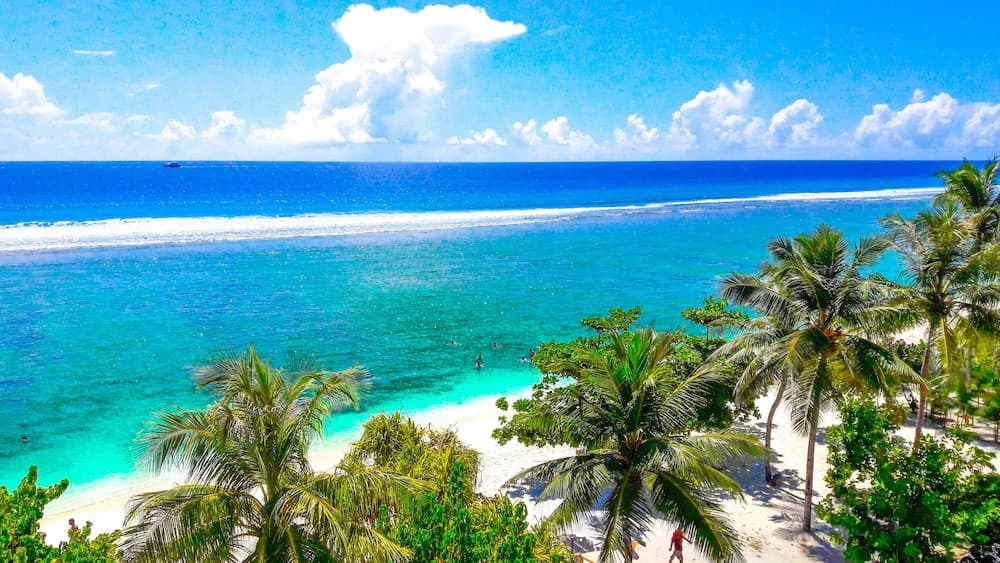 Seasunbeach Hotel - View 17