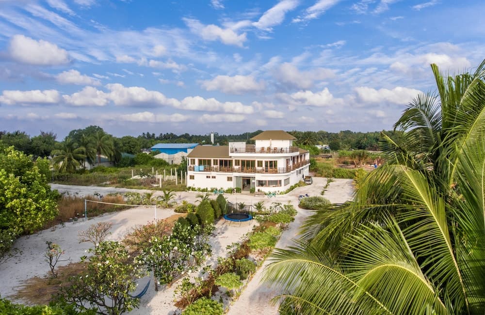Olive Goidhoo - View 40